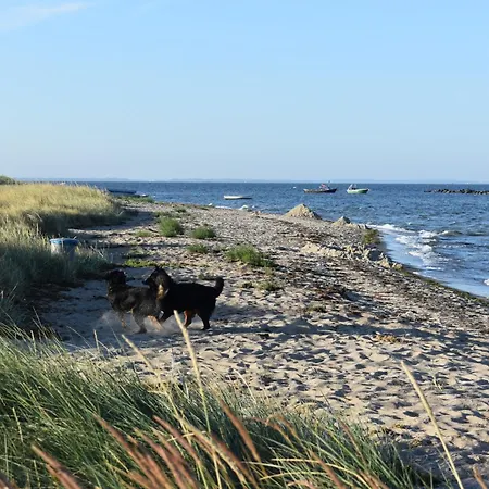 Chihuahua Apartment *