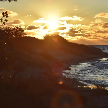 Apartment Chihuahua *