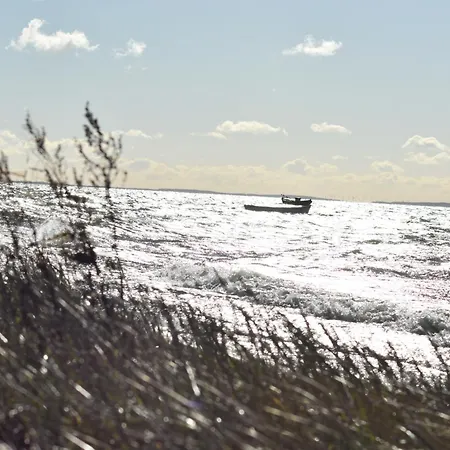 Chihuahua * Thiessow