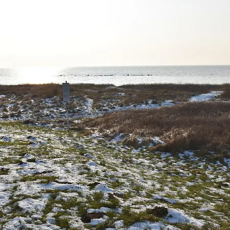 Chihuahua * Thiessow