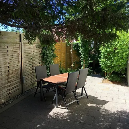 Chihuahua Apartment *